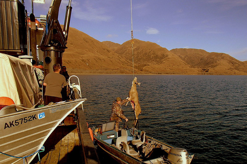 Kodiak Alaska deer hunt transportation on the F/V Naknek Spirit includes a crane to lift any game onto the boat.