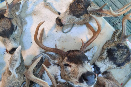 2021-Kodiak-Deer-Hunt-Photo-121