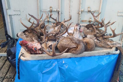 2021-Kodiak-Deer-Hunt-Photo-219
