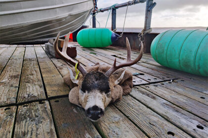 Kodiak-Deer-Hunting-Charter--Fall-2022--8