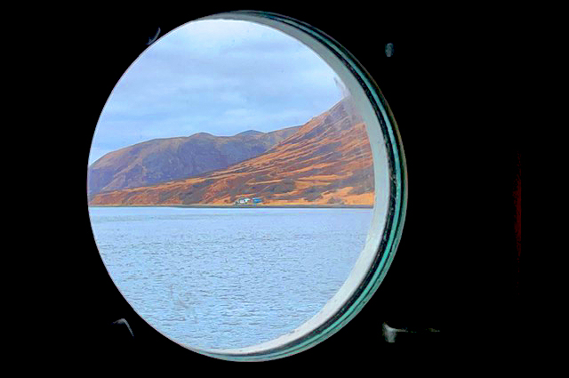 Kodia Island Alaska is a great place to find deer in Alaska.